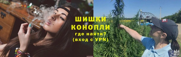 гидропоника Богданович
