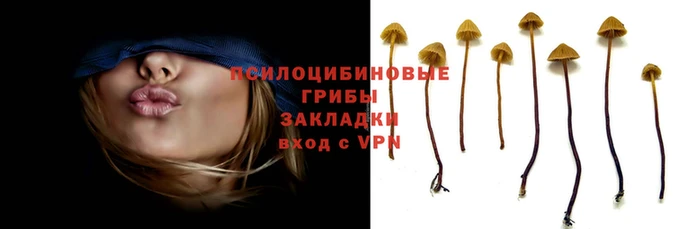 гидропоника Богданович