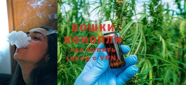 гидропоника Богданович