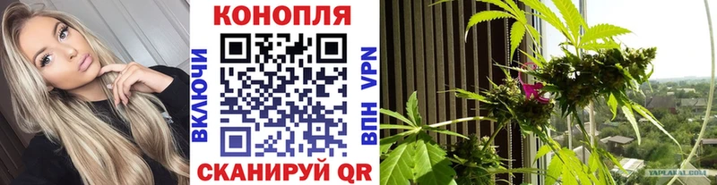 как найти   гидра онион  Каннабис OG Kush  Кондрово 